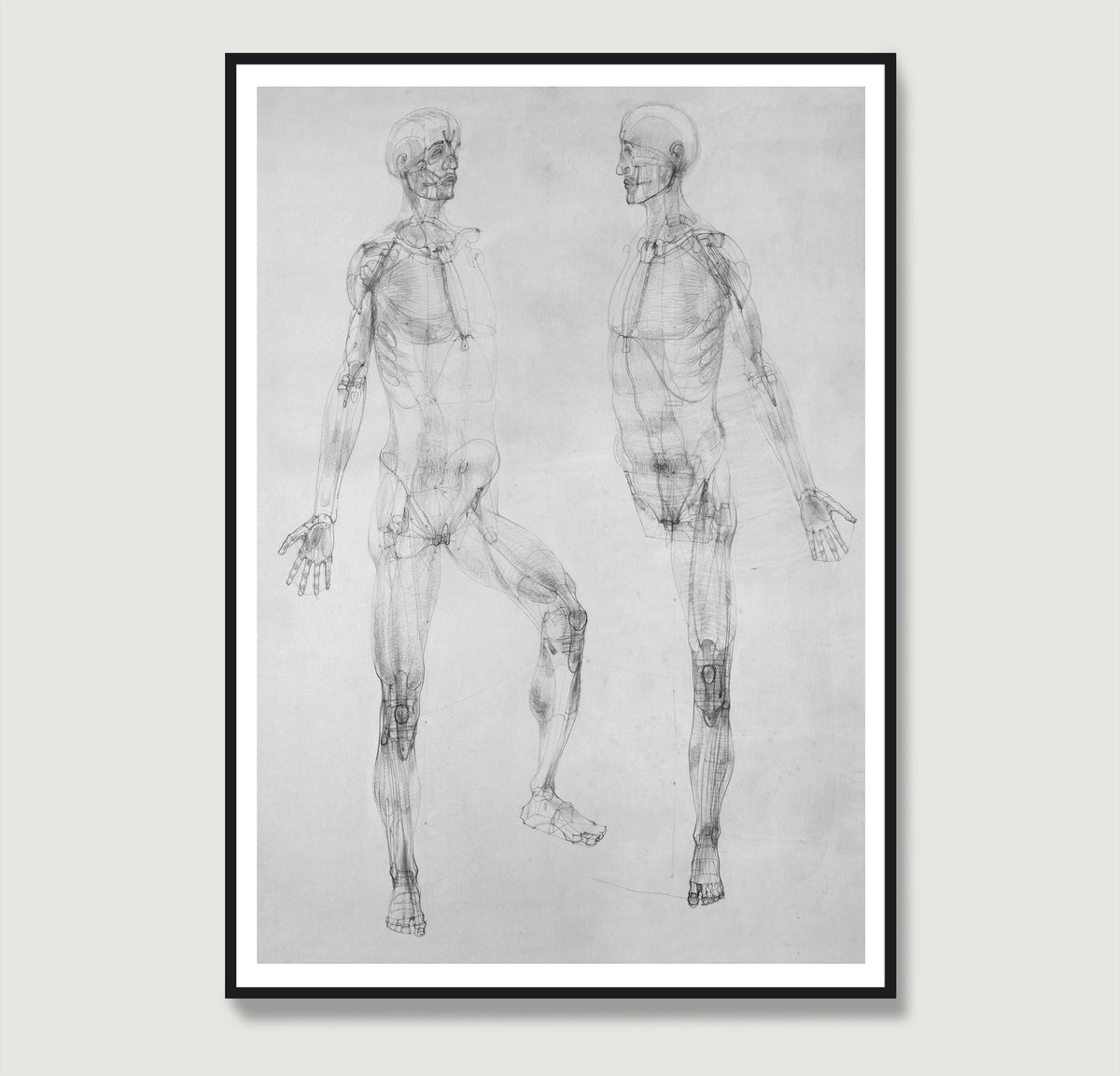 Black and white anatomy art print with two figures.