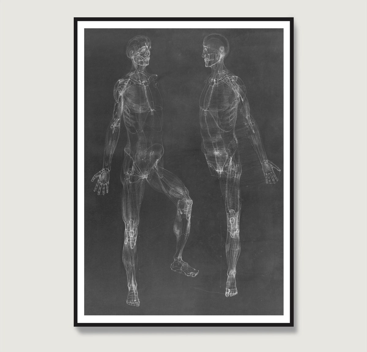 Black and white anatomy art print depicting the human body.
