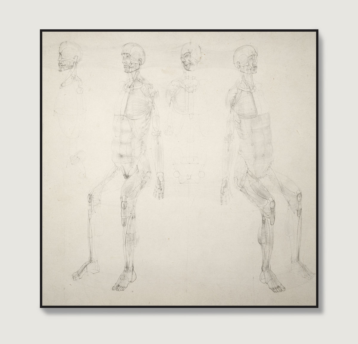 Monochrome anatomy art print with seated figures.