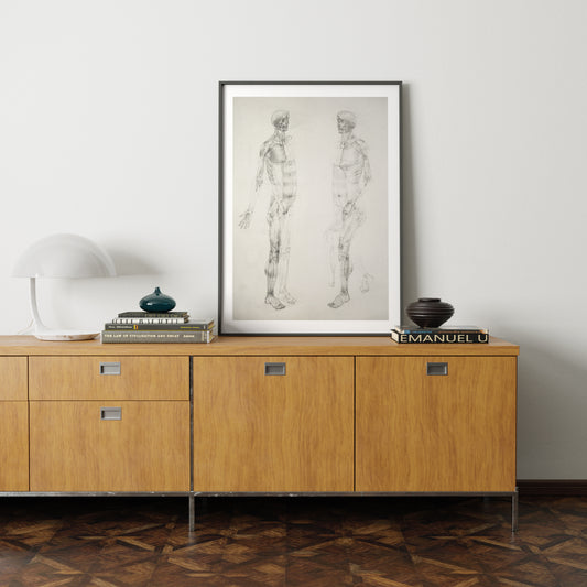 Monochrome human body anatomy art print in a minimalist interior.