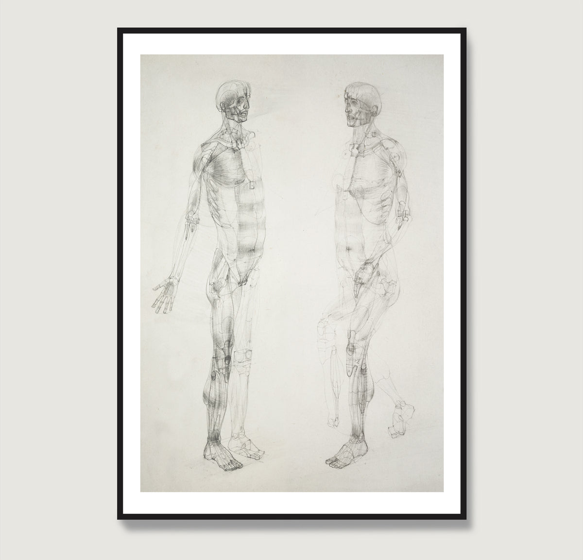 Monochrome human body anatomy art print.