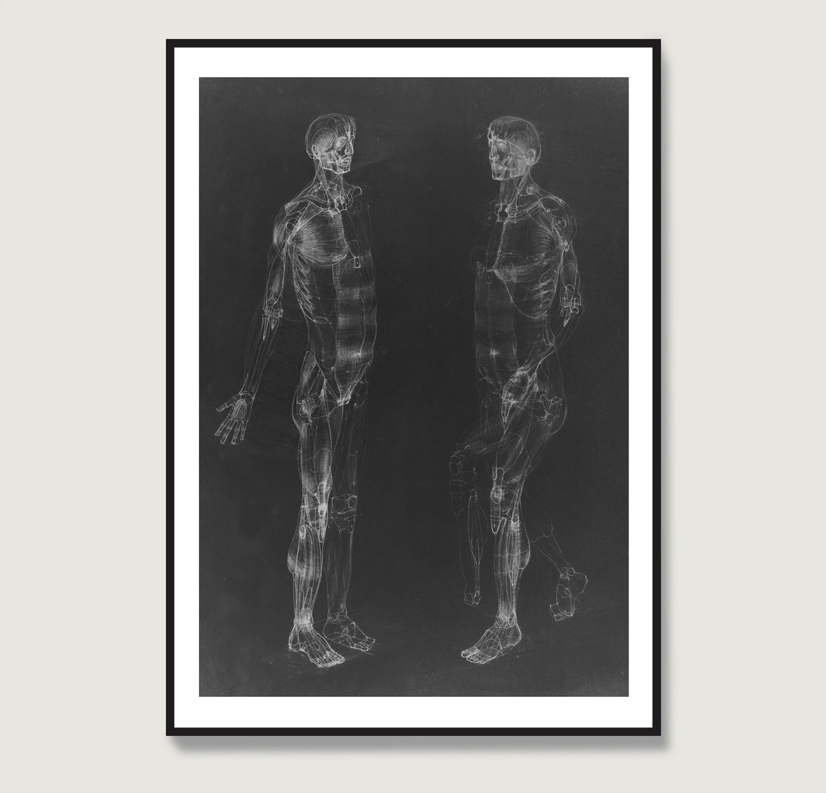 Black and white human body anatomy art print.