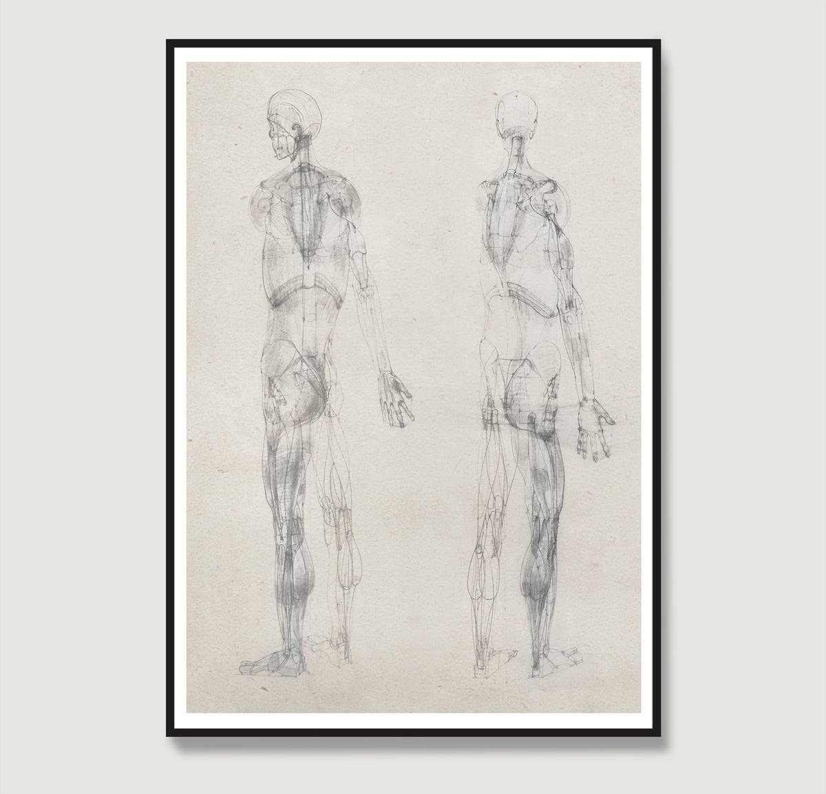 Monochrome human body anatomy art print with two standing figures.