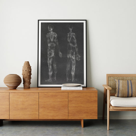 Black and white human body anatomy art print with two standing figures, in a natural interior.