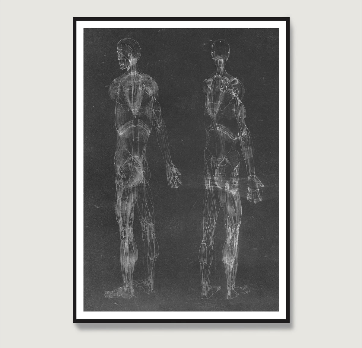 Black and white human body anatomy art print with two standing figures.