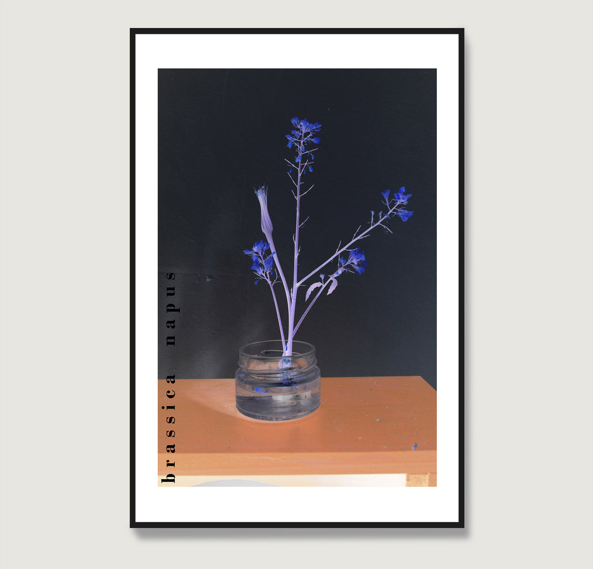 Framed artwork of a glass vase with blue flowers on a wooden surface against a dark background.