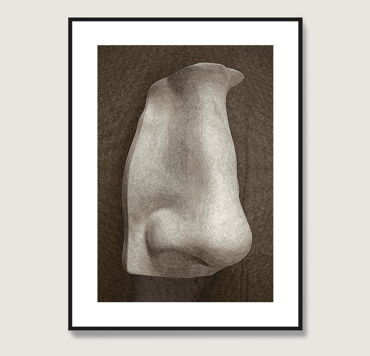 David's nose on a dark background, anatomy art print.