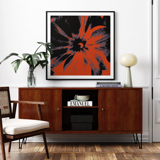 Black and red flower pop art art print in an old parisian apartment.
