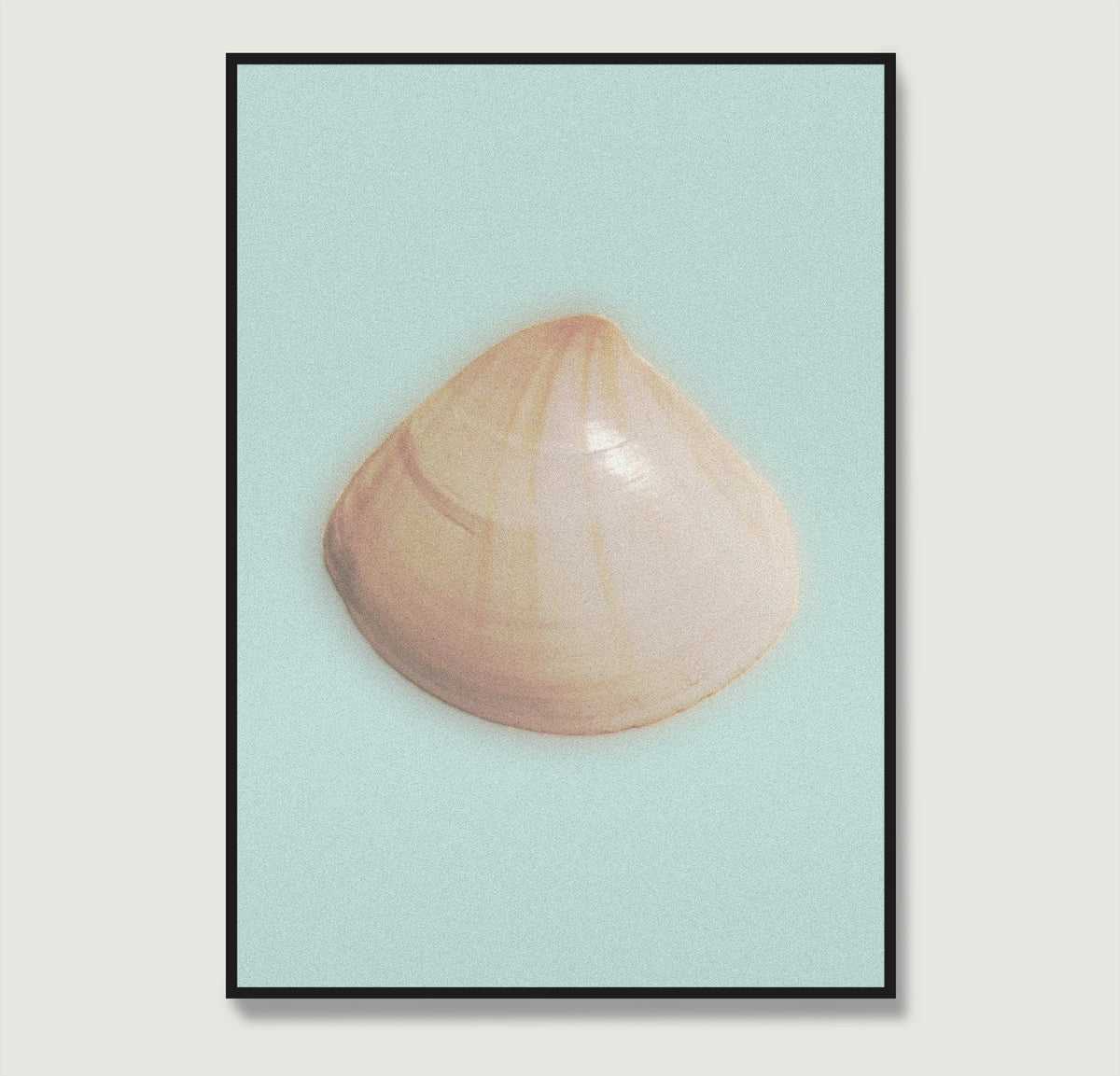 Framed art print of a shell on a light blue background.