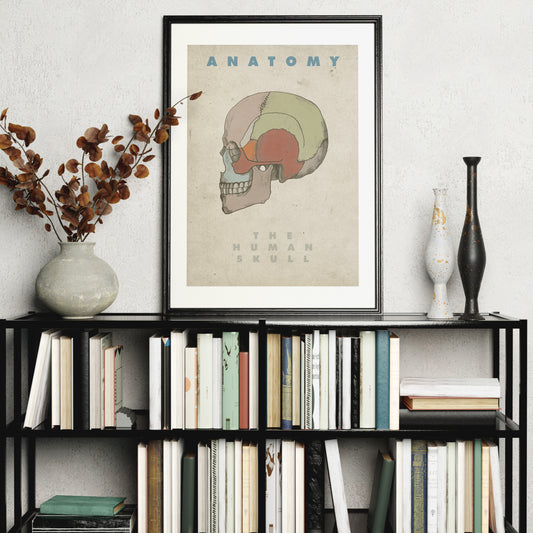 The Human skull vintage anatomy art print on a sideboard with books.