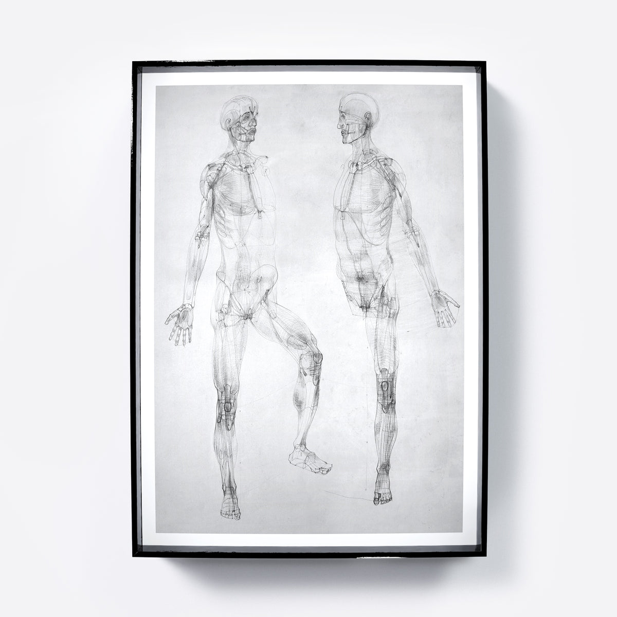 Black and white anatomy art print with two figures.