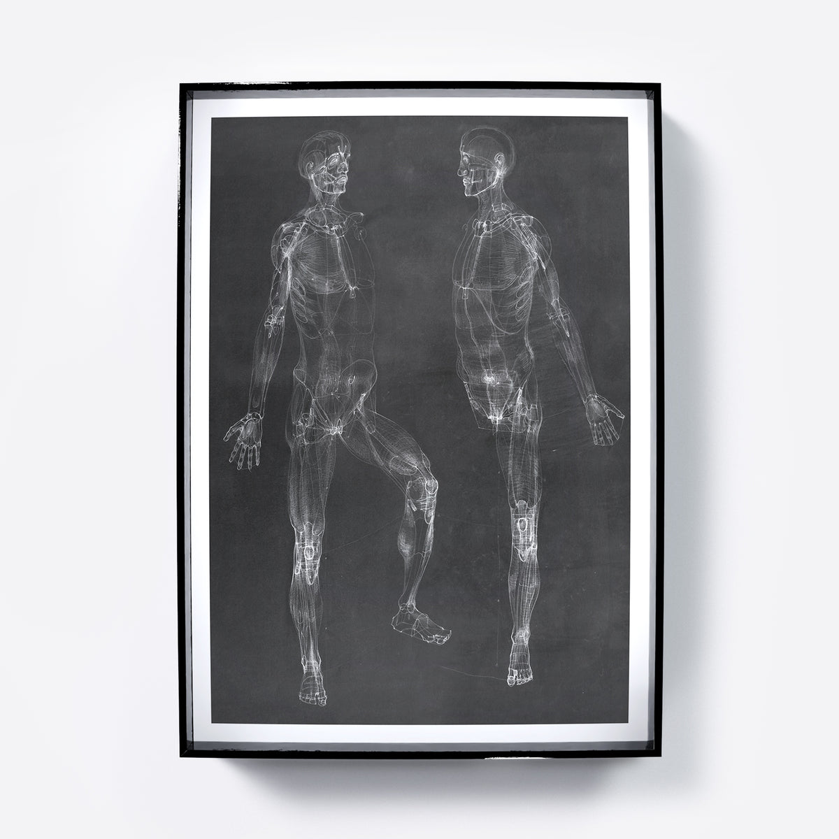 Black and white anatomy art print depicting the human body.