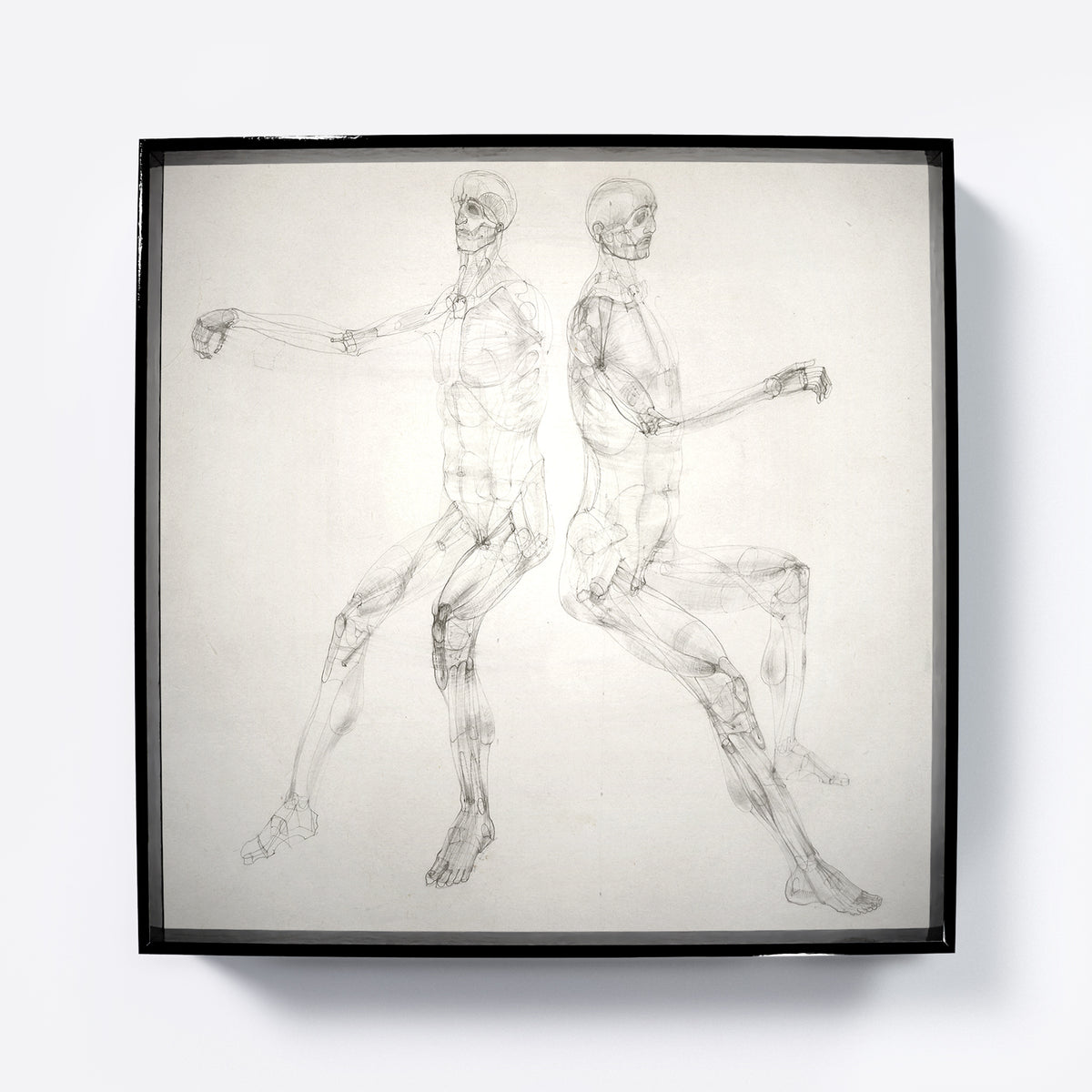 Anatomy art print depicting the human body, with two seated figures.