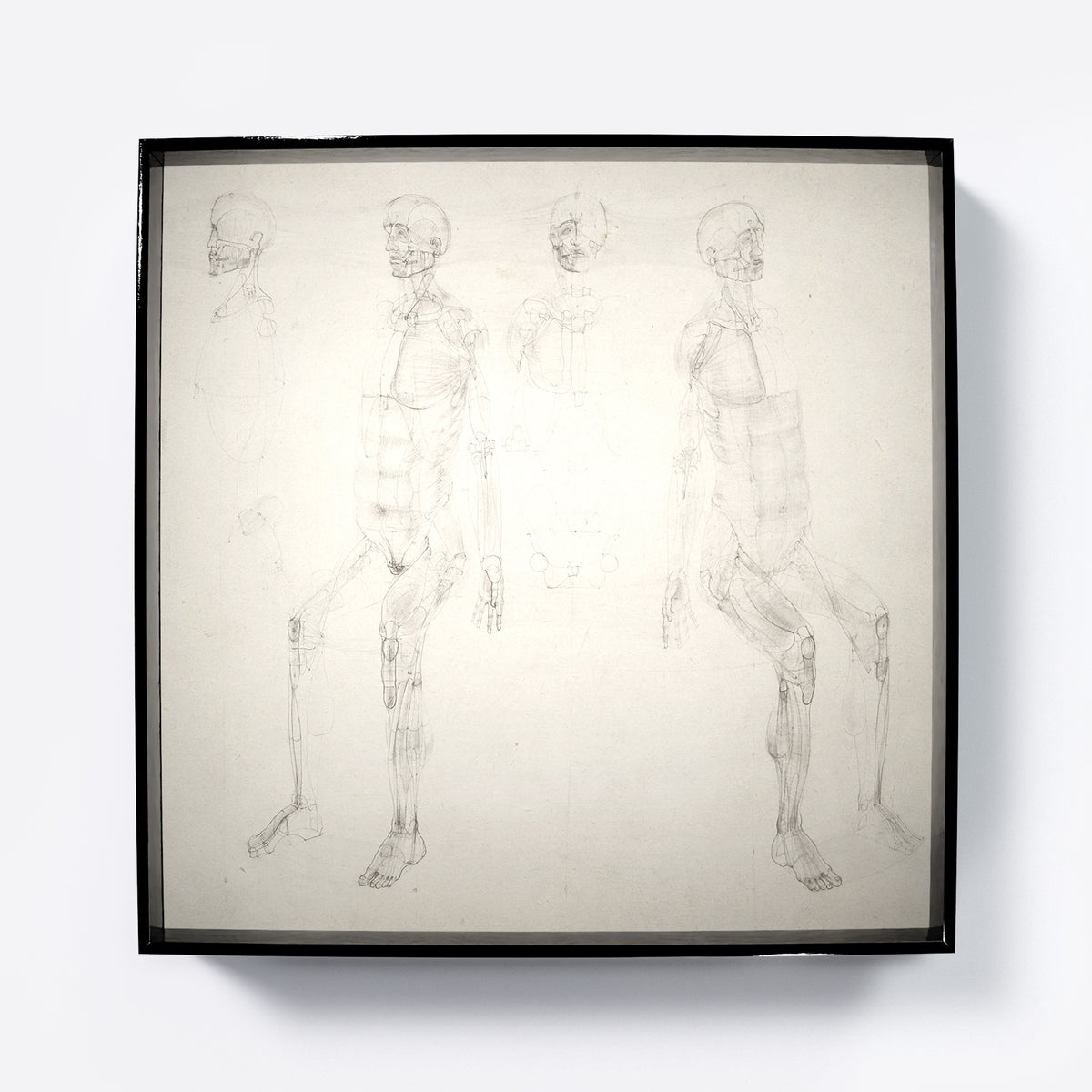 Monochrome anatomy art print with seated figures.