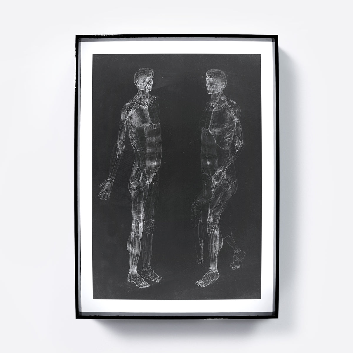 Black and white human body anatomy art print.