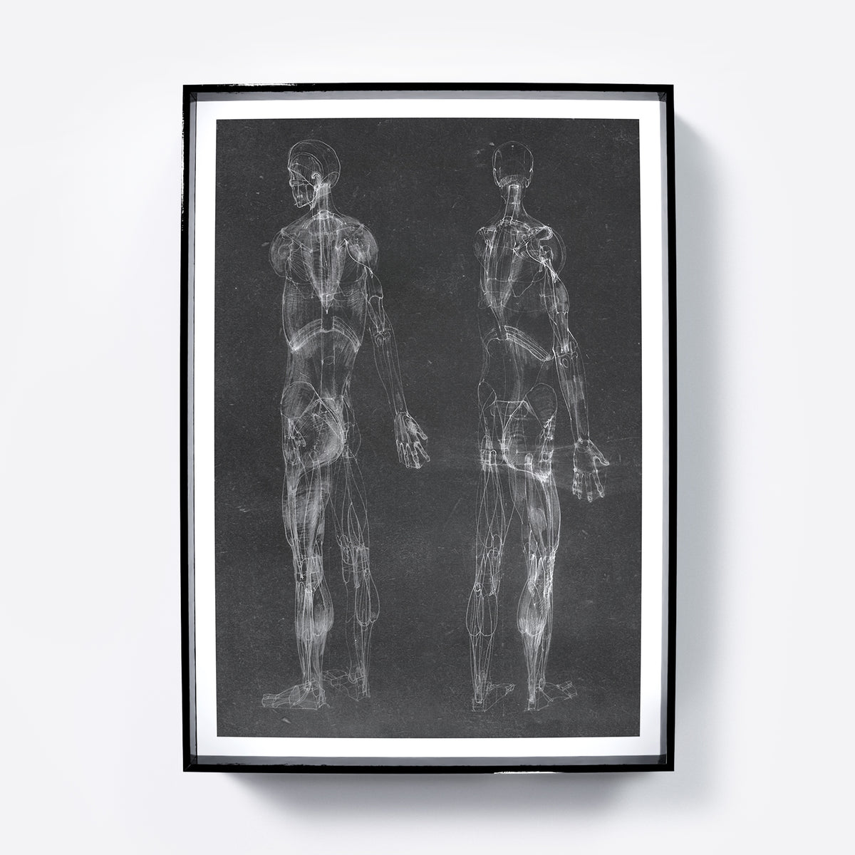 Black and white human body anatomy art print with two standing figures.