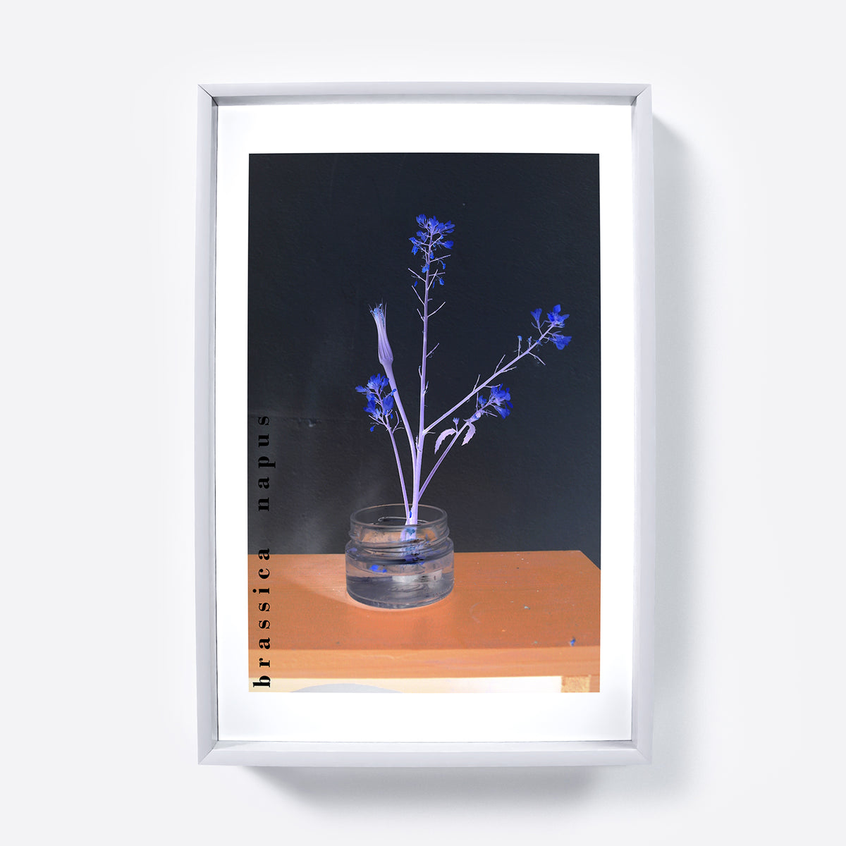 Framed artwork of a glass vase with blue flowers on a wooden surface against a dark background.