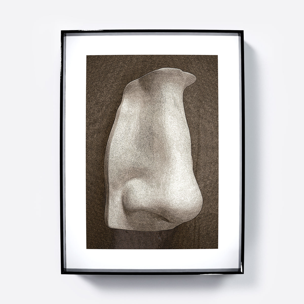 David's nose on a dark background, anatomy art print.