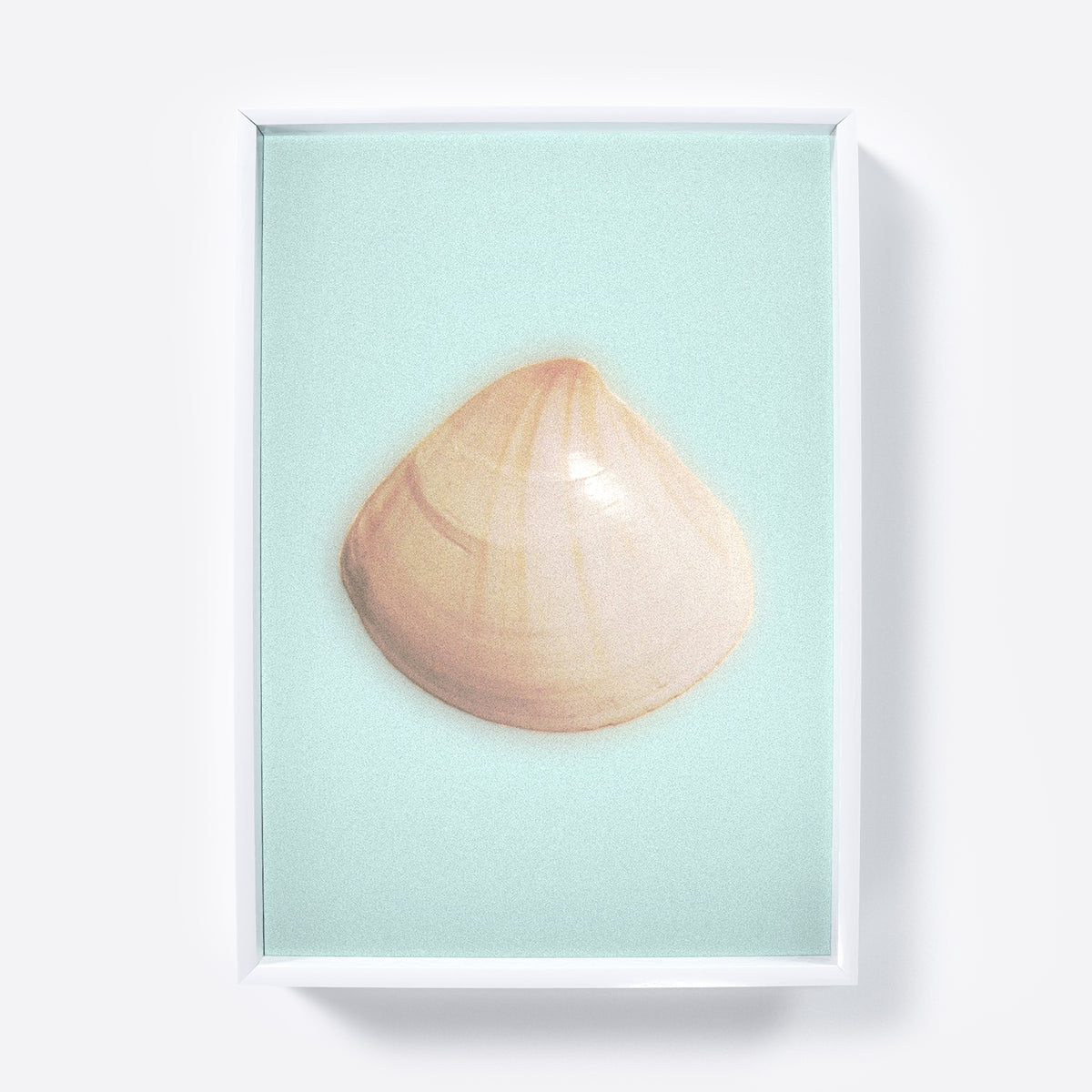 Framed art print of a shell on a light blue background.