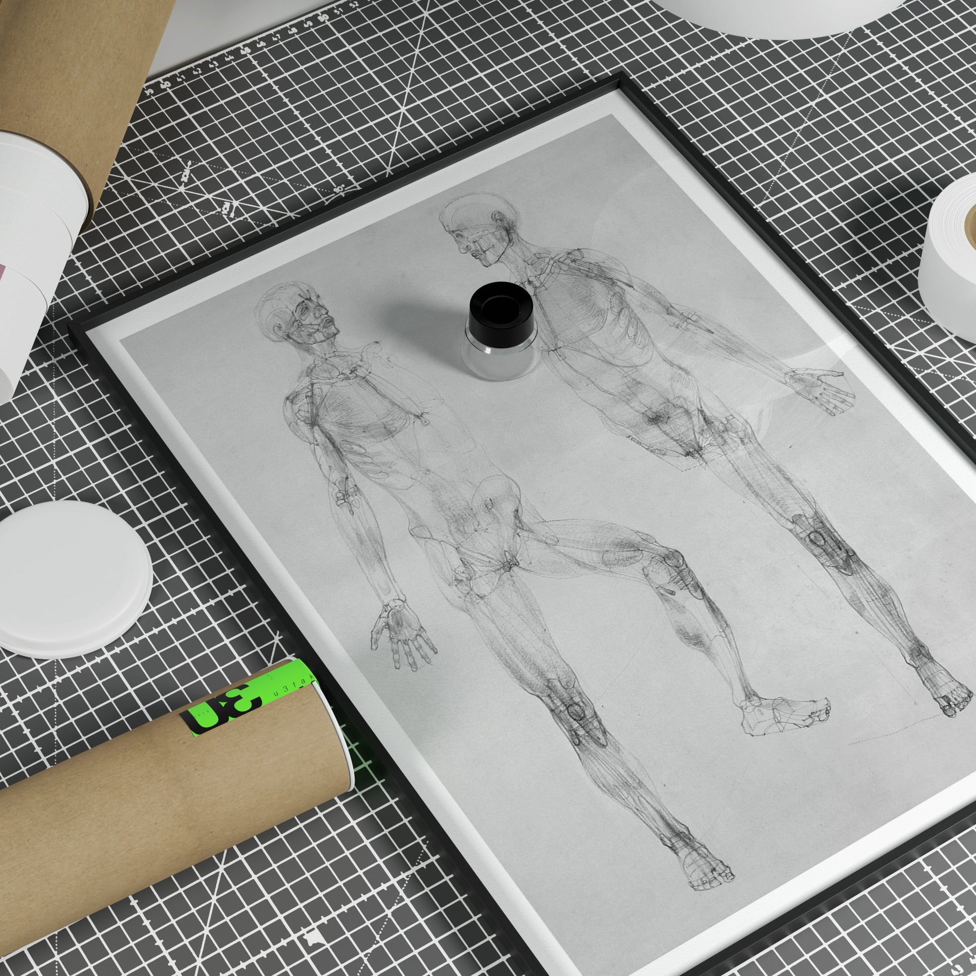 Black and white anatomy art print with two figures.