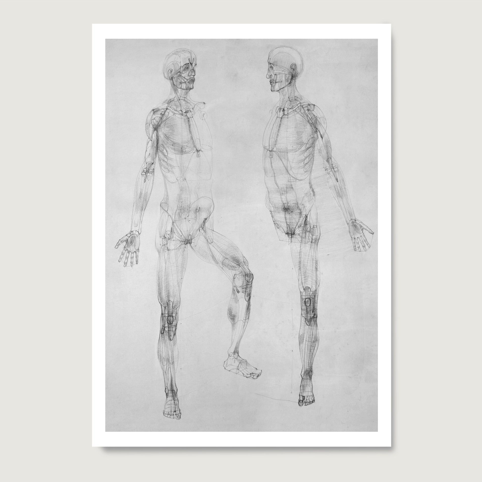 Black and white anatomy art print with two figures.