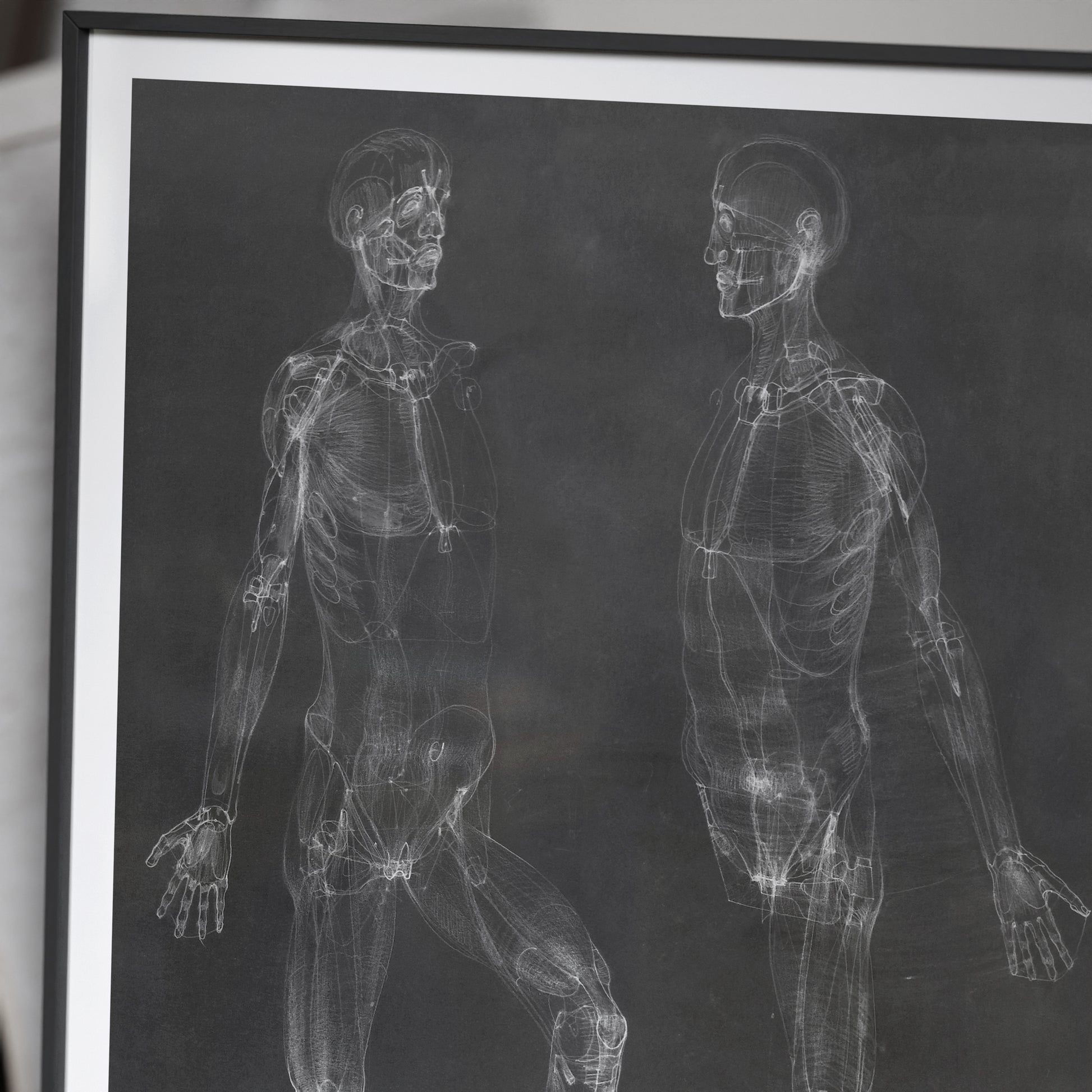 Detail of a black and white anatomy art print depicting the human body.