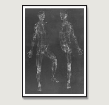 Black and white anatomy art print depicting the human body.
