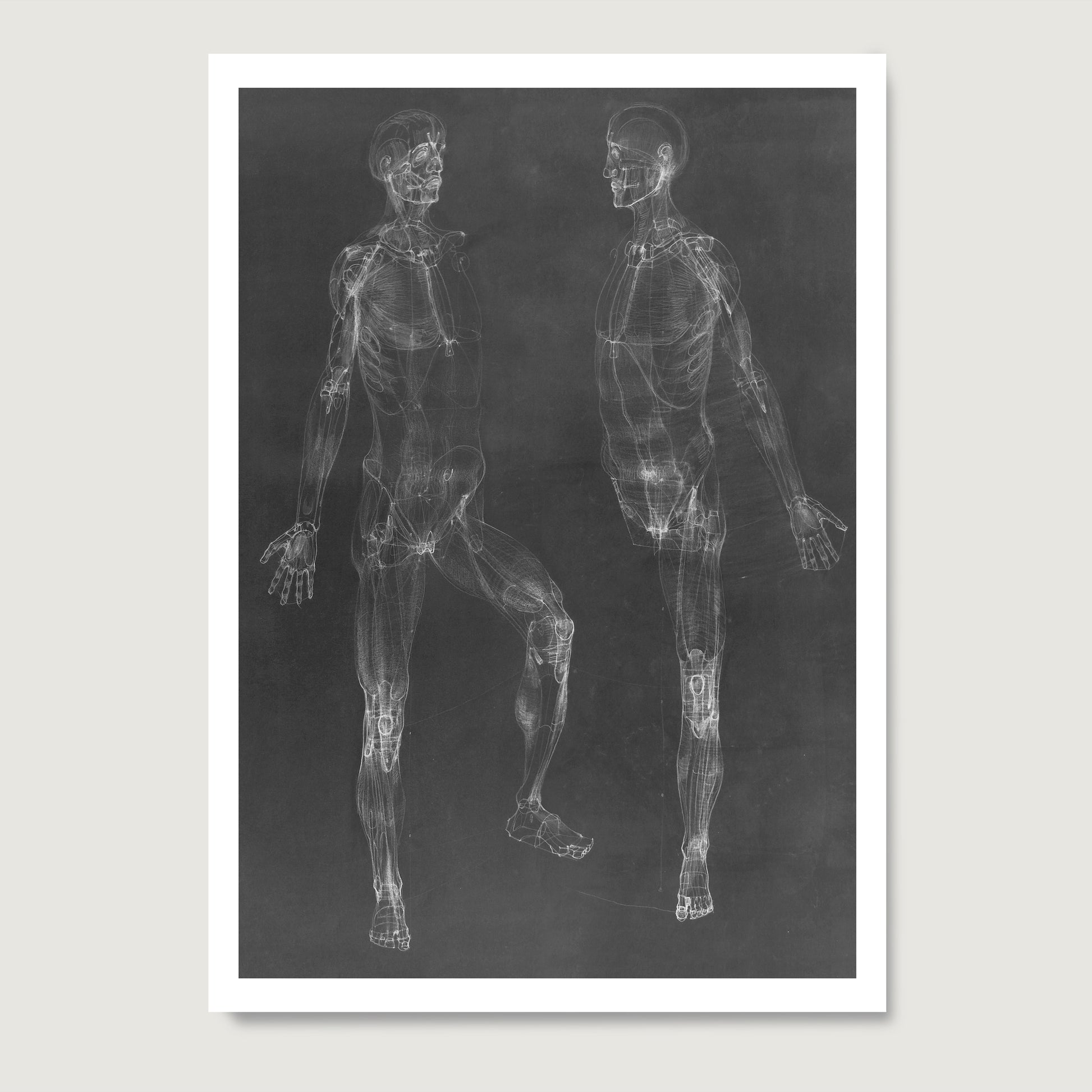 Black and white anatomy art print depicting the human body.