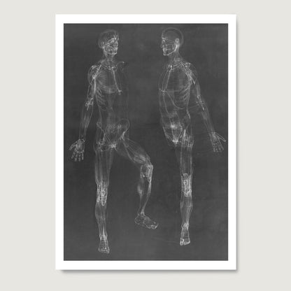 Black and white anatomy art print depicting the human body.