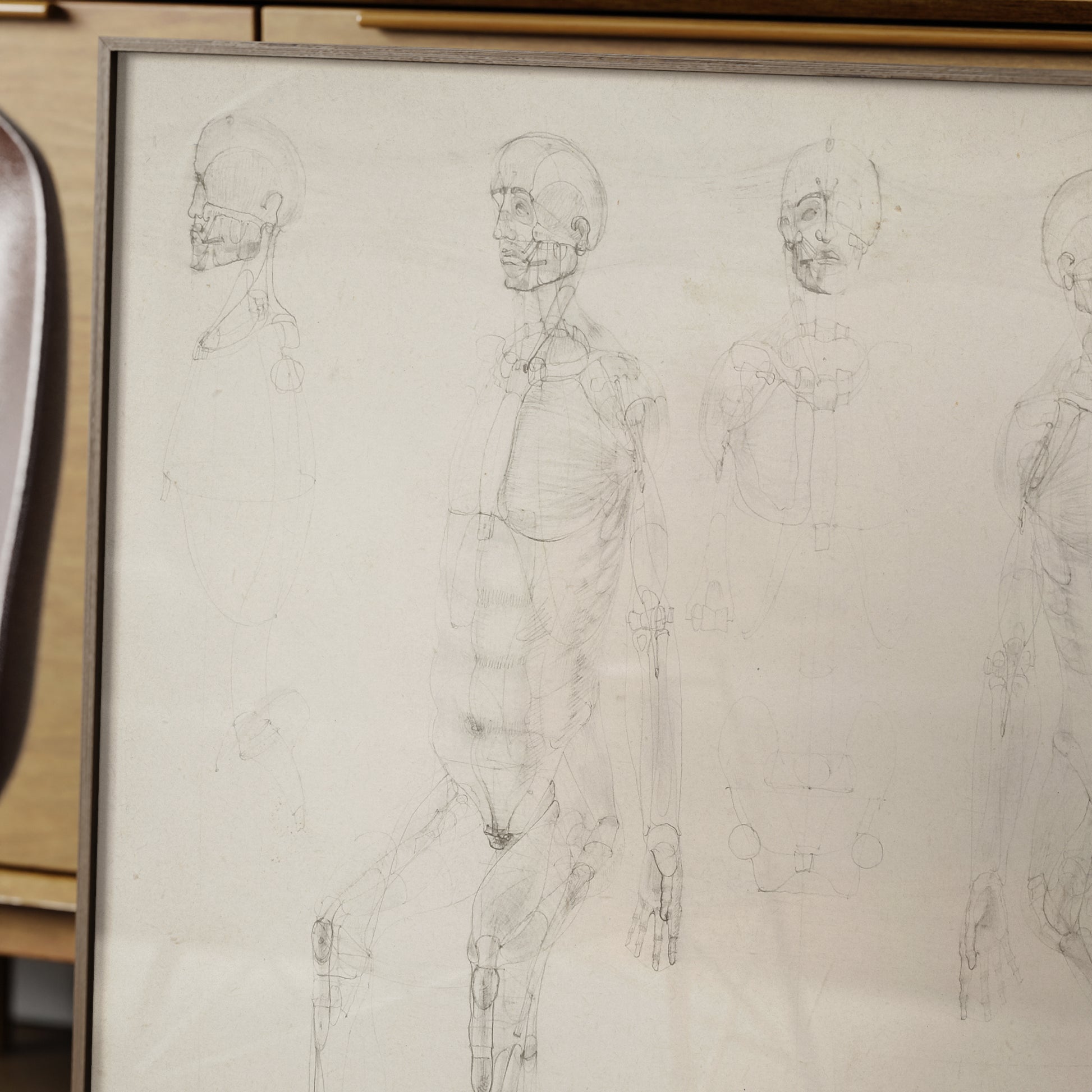 Detail of a monochrome anatomy art print with seated figures.