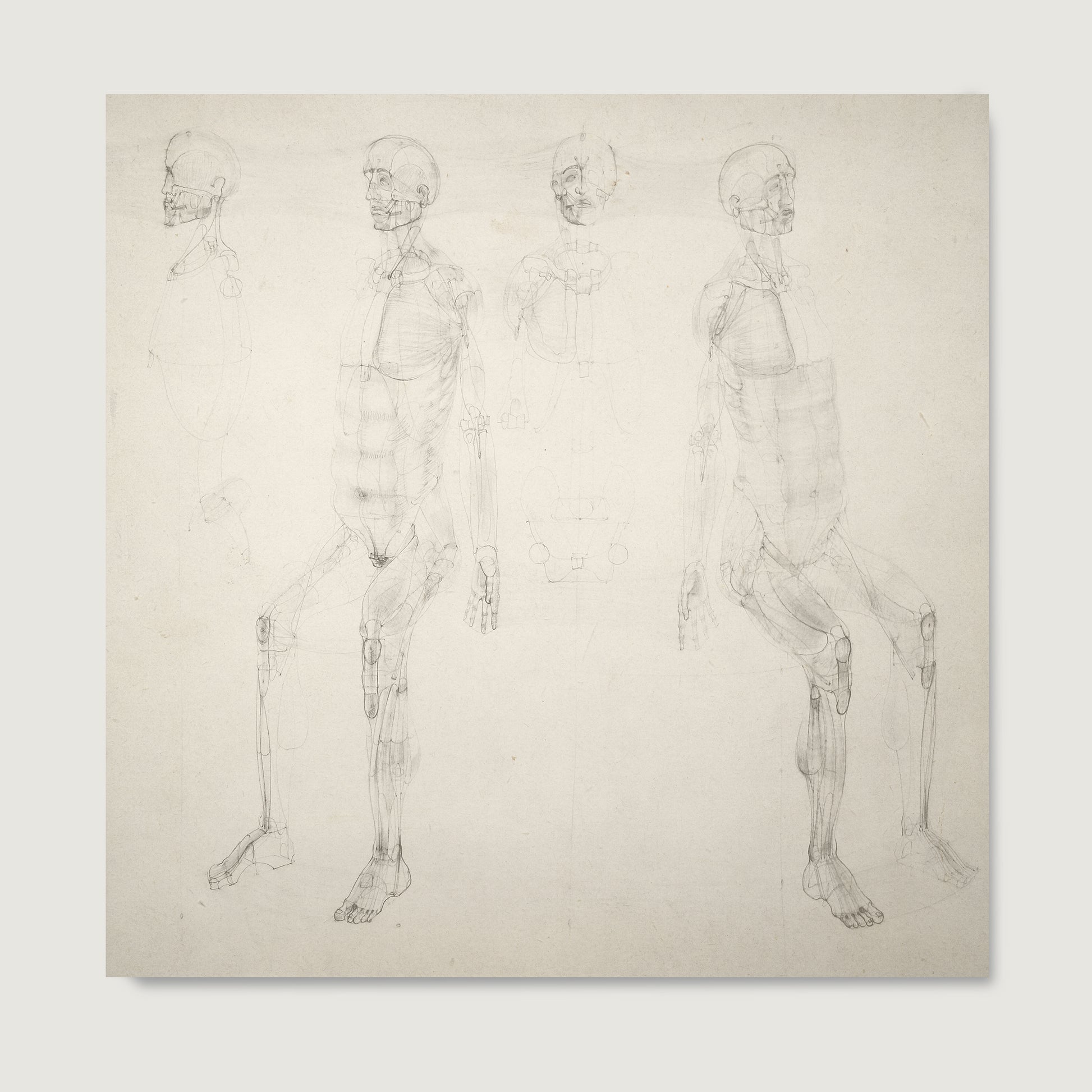 Monochrome anatomy art print with seated figures.