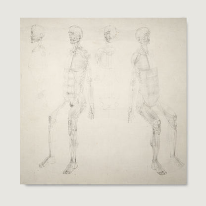 Monochrome anatomy art print with seated figures.