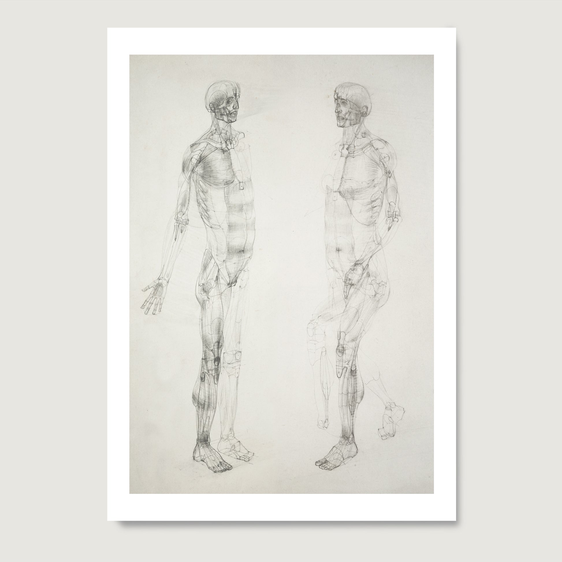Monochrome human body anatomy art print on paper.