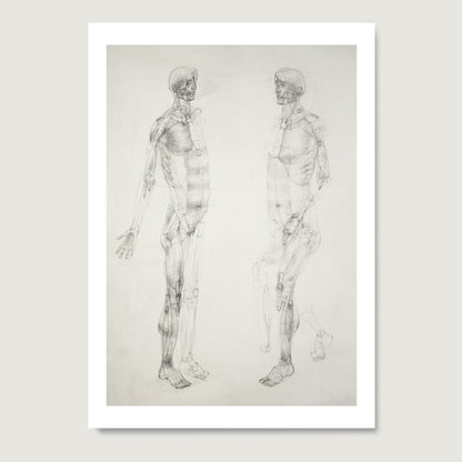 Monochrome human body anatomy art print on paper.