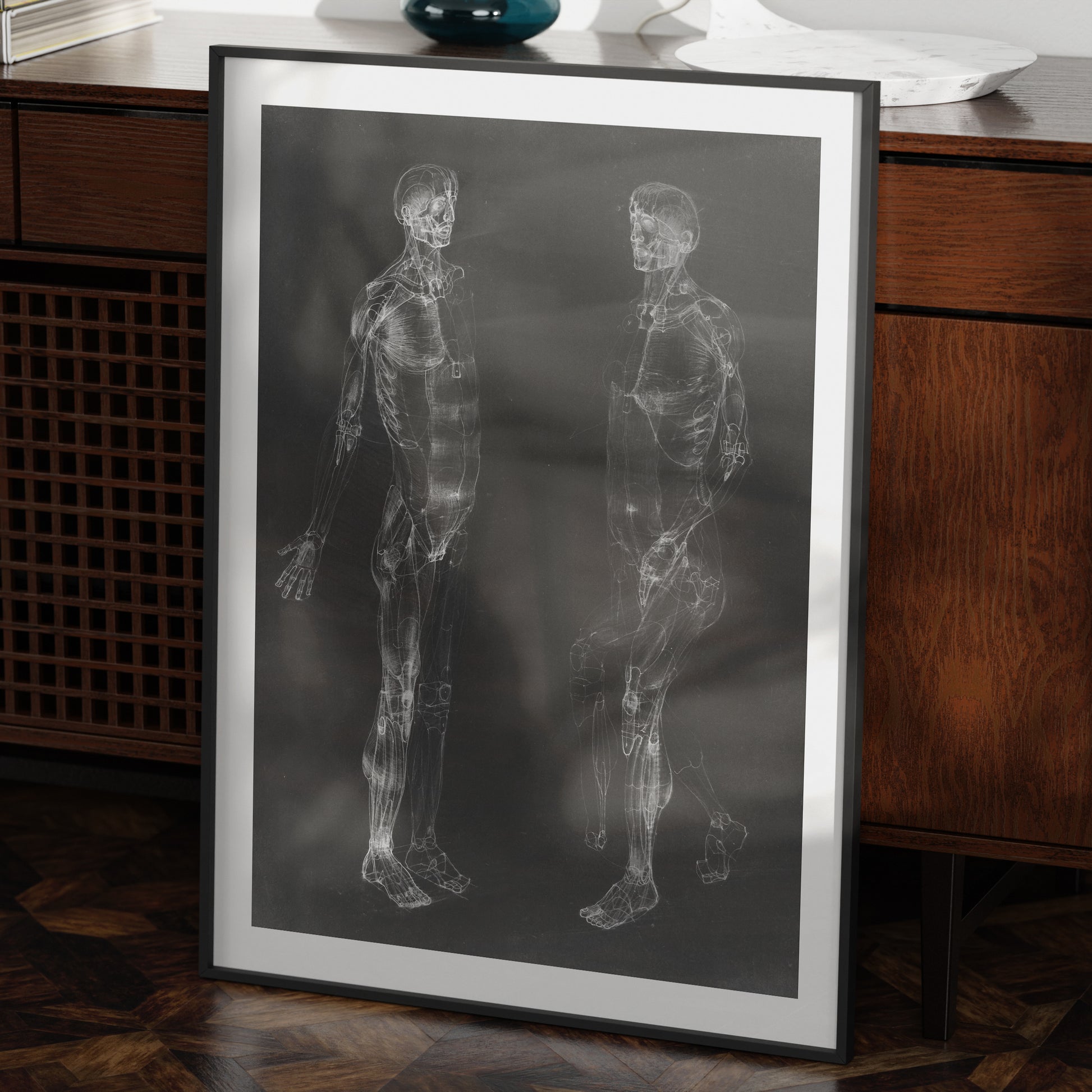 Black and white human body anatomy art print in a moody space.