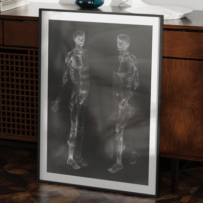 Black and white human body anatomy art print in a moody space.