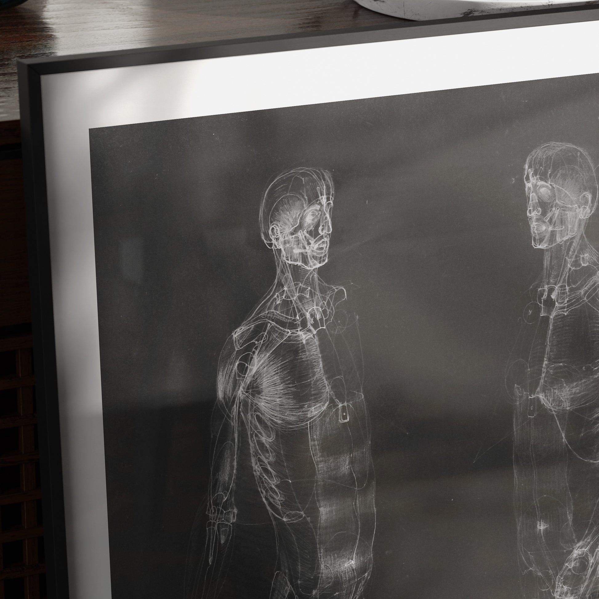 Detail of a black and white human body anatomy art print.