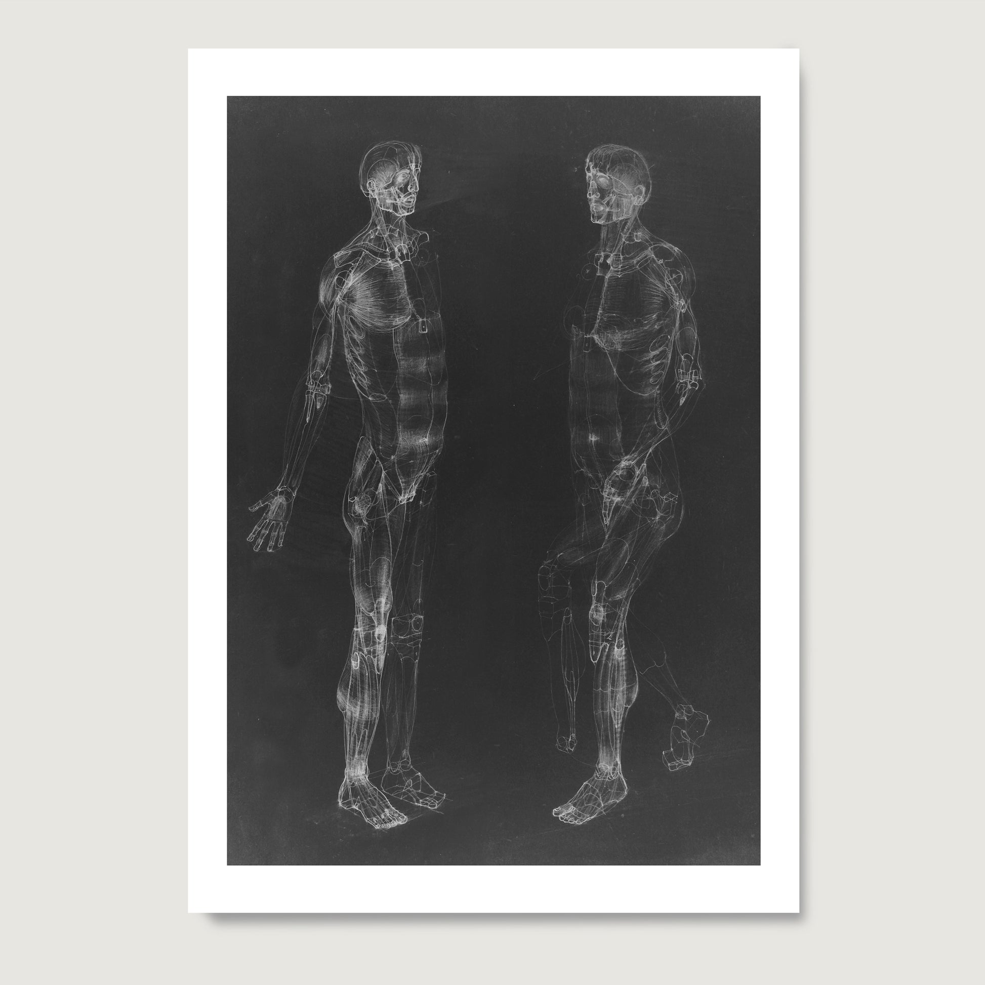 Black and white human body anatomy art print on paper.