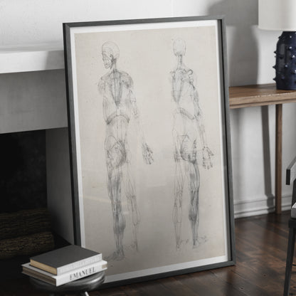 Monochrome human body anatomy art print with two standing figures.