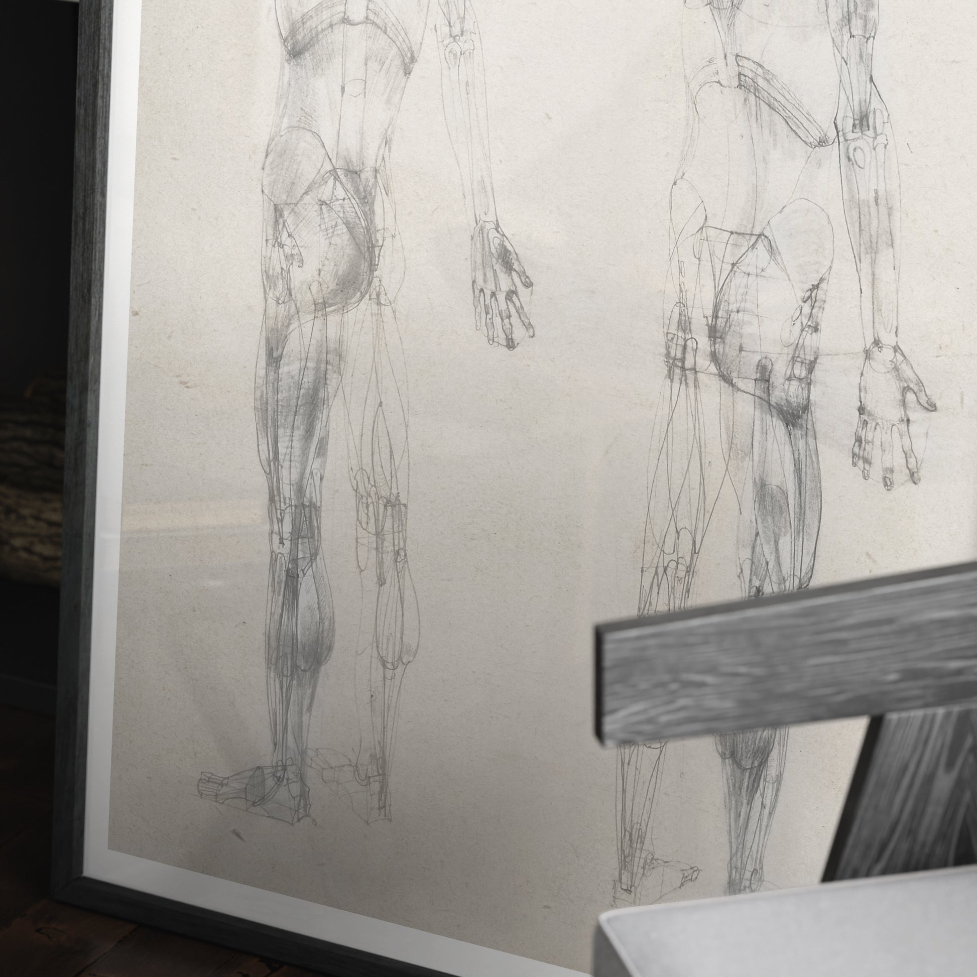 Detail of a monochrome human body anatomy art print with two standing figures.