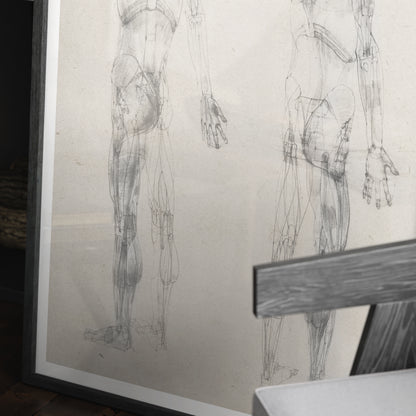 Detail of a monochrome human body anatomy art print with two standing figures.