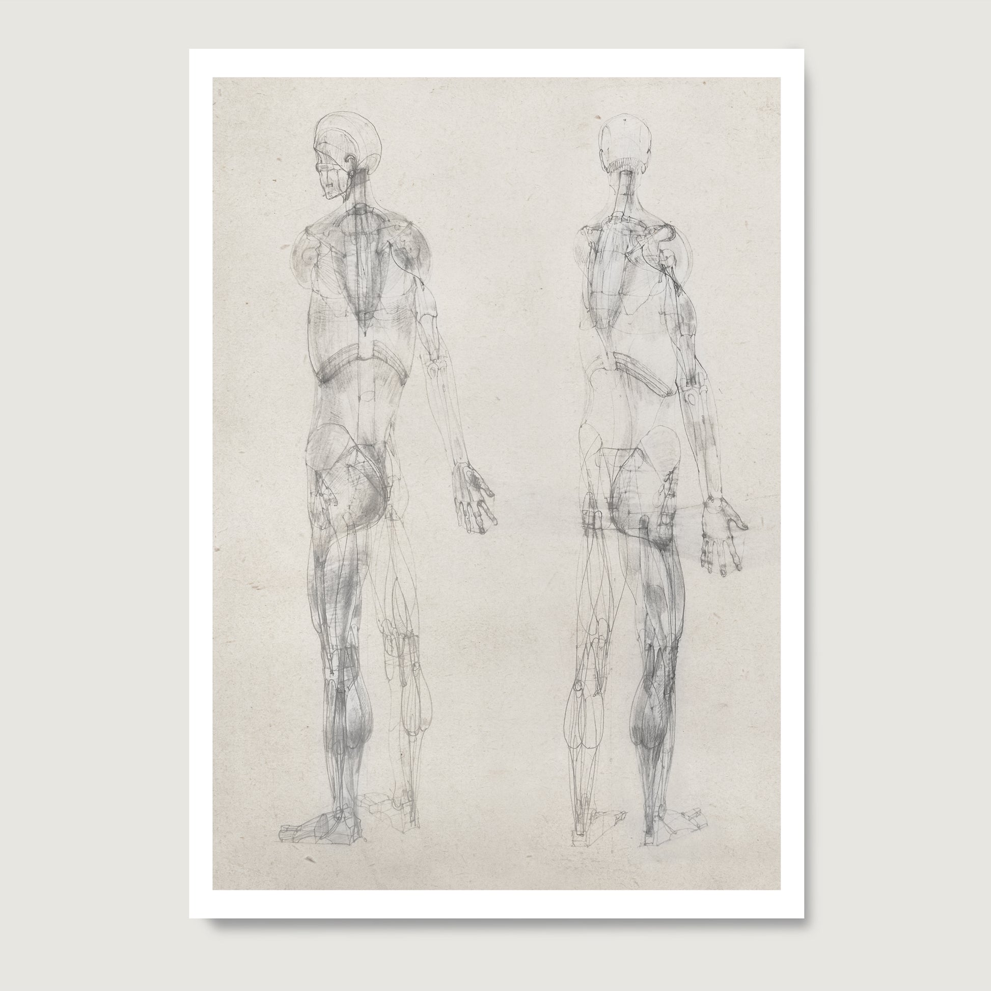 Monochrome human body anatomy art print n paper with two standing figures.