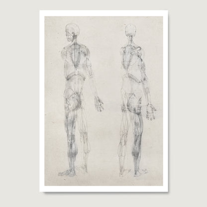 Monochrome human body anatomy art print n paper with two standing figures.