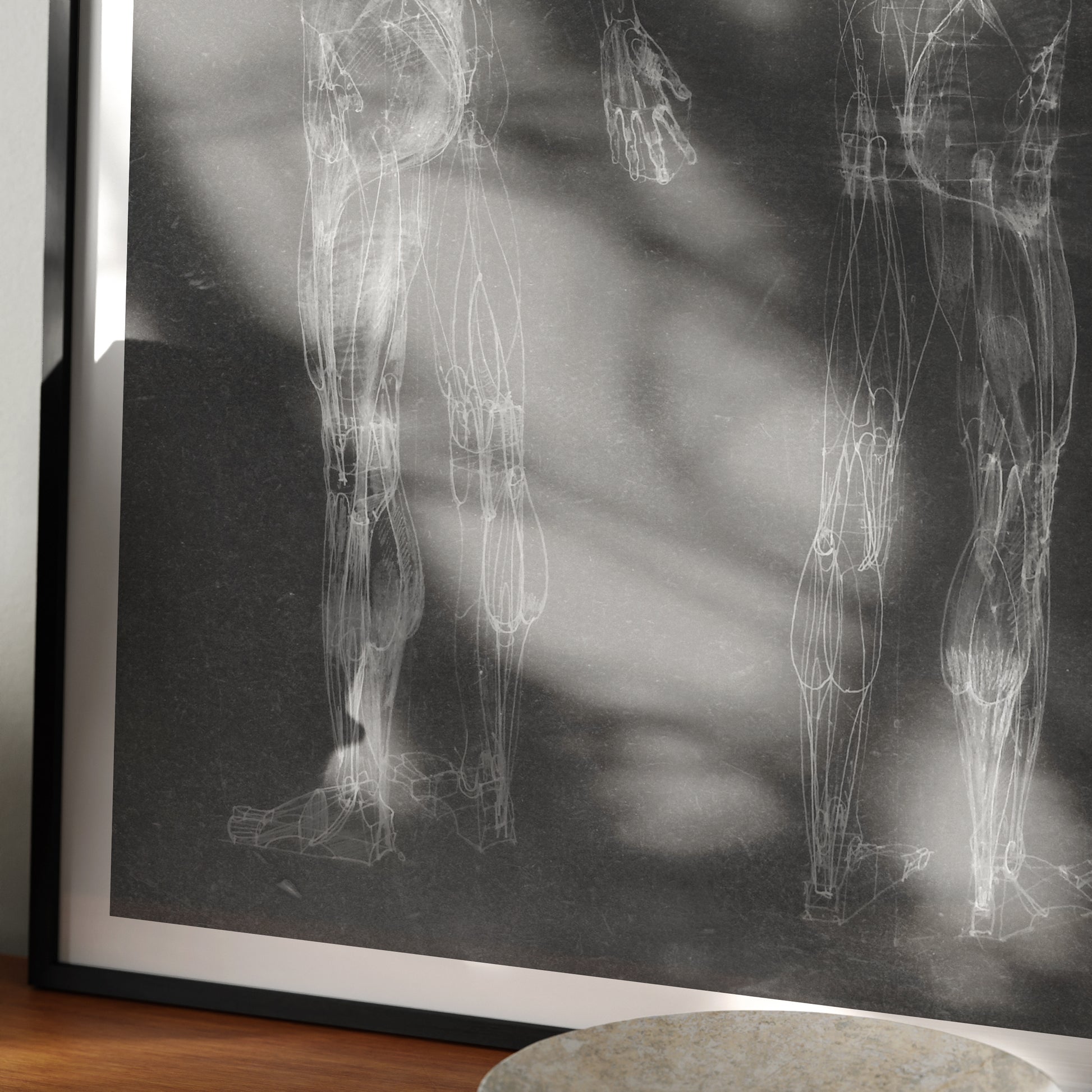 Detail of a black and white human body anatomy art print with two standing figures.