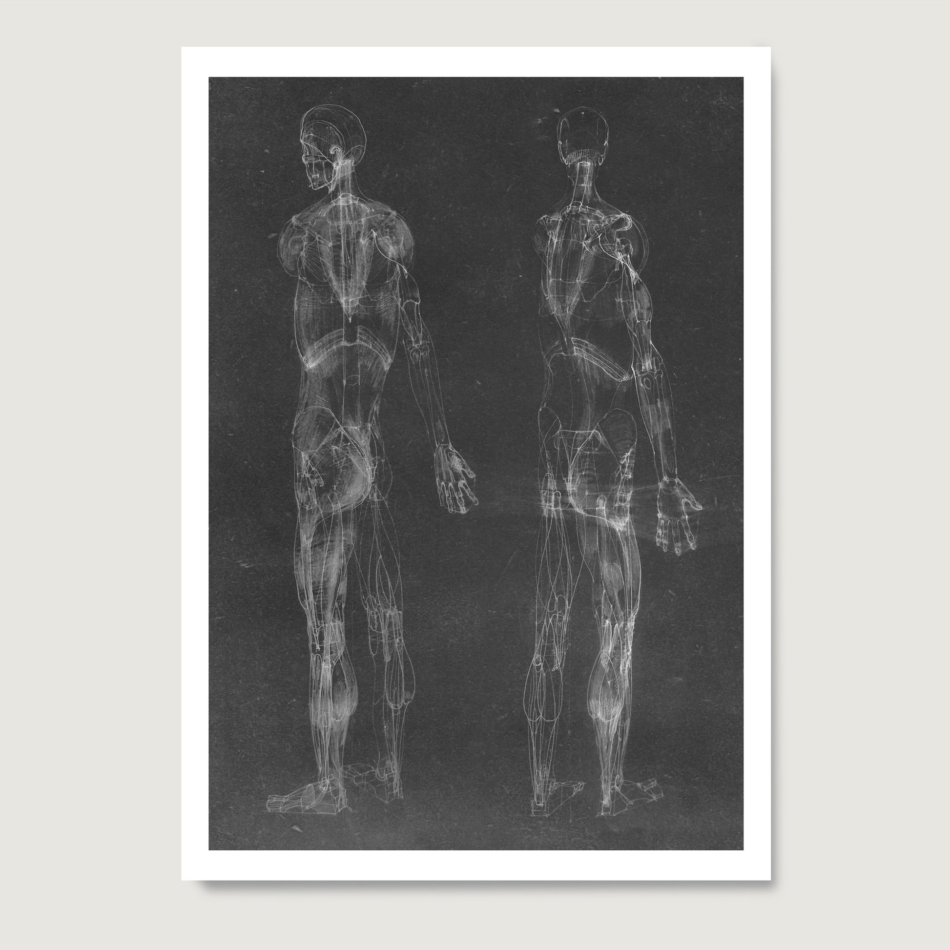 Black and white human body anatomy art print on paper, with two standing figures.