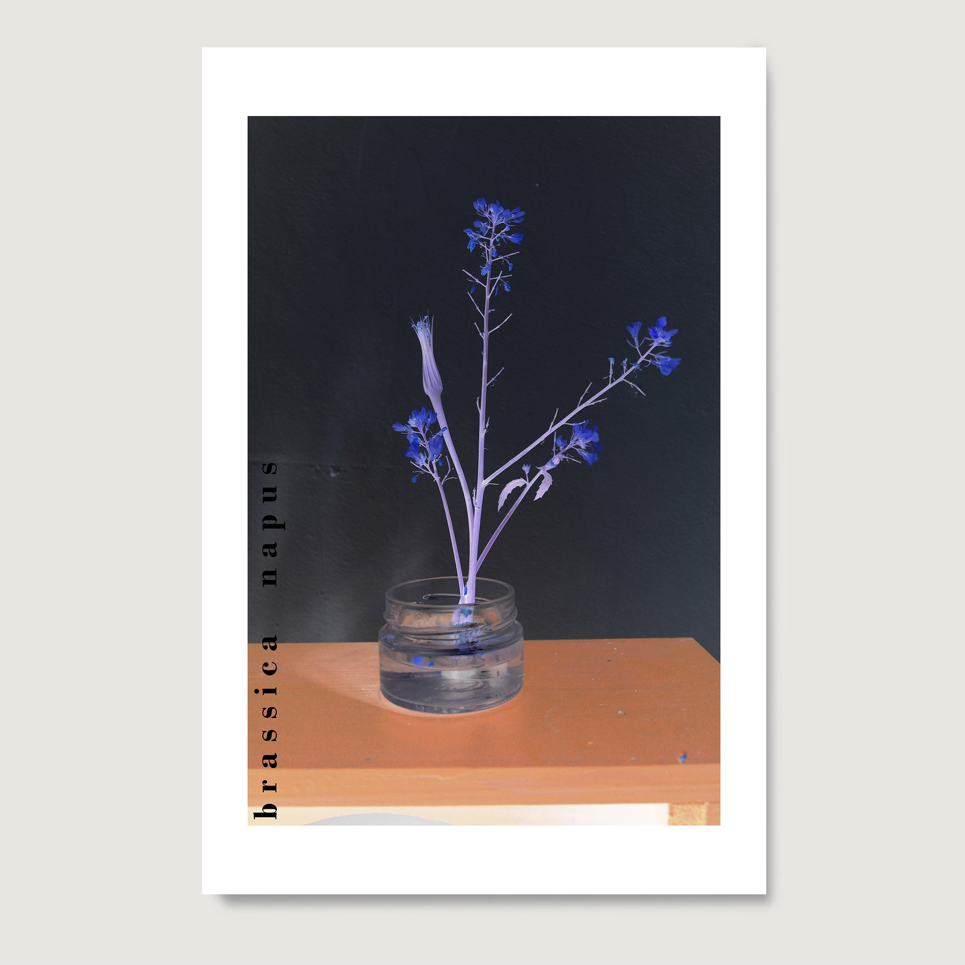 High quality art print with a glass vase with blue flowers on a wooden surface against a dark background.