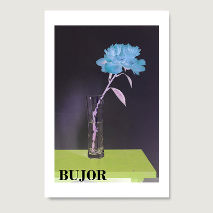 Blue flower in a glass vase on a black background with 'BUJOR' writing.