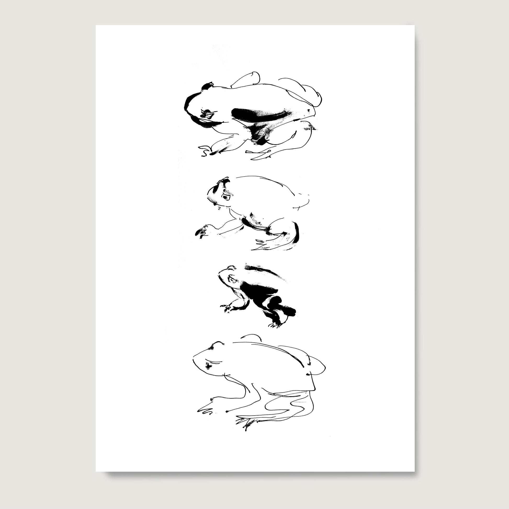 Art print on paper depicting an ink frog study with four frogs on a white background.