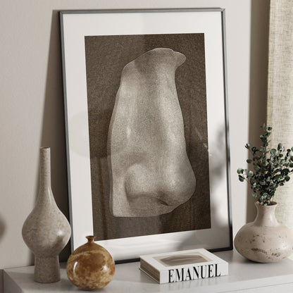 David's nose on a dark background, anatomy art print on a sideboard.