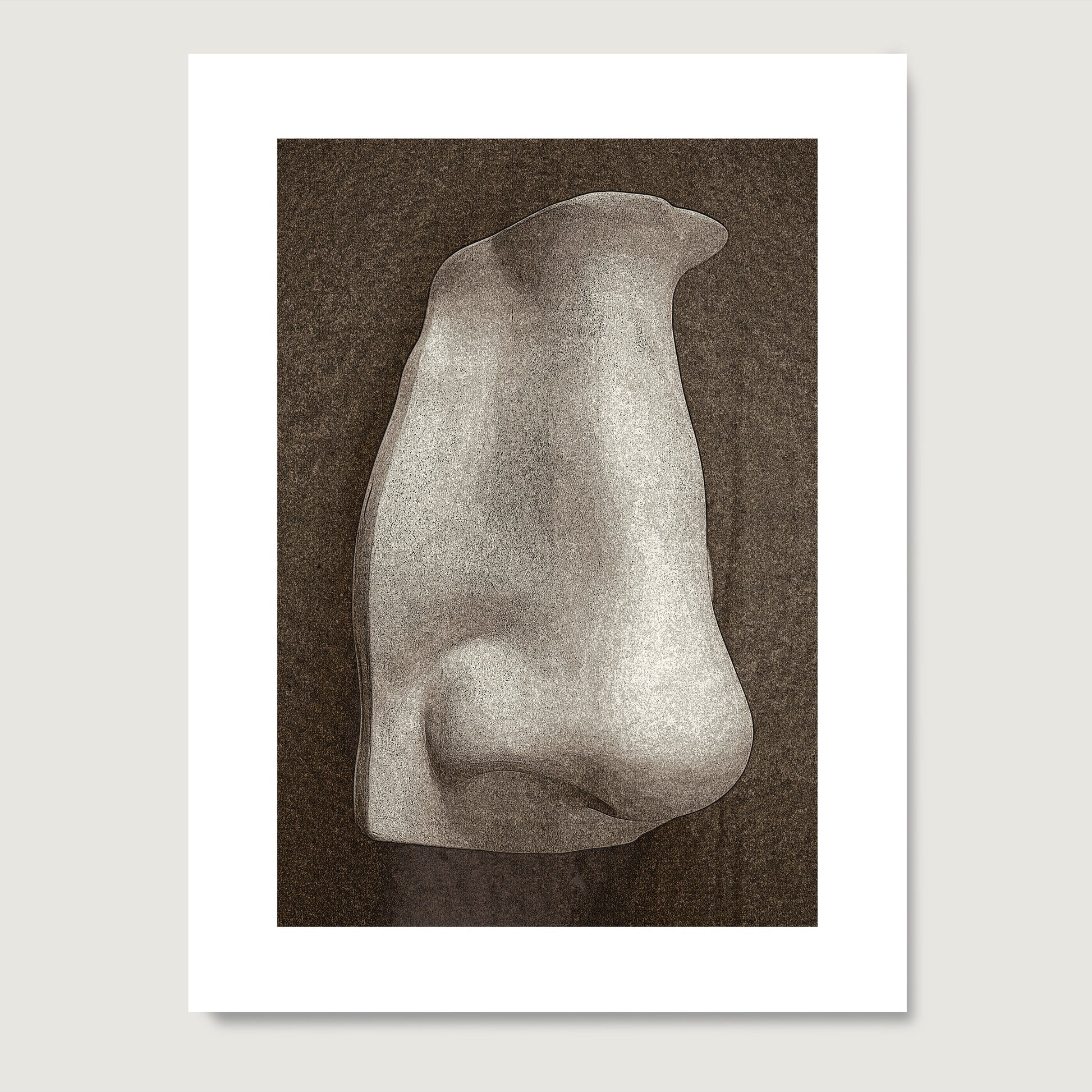 David's nose on a dark background, anatomy art print on paper.